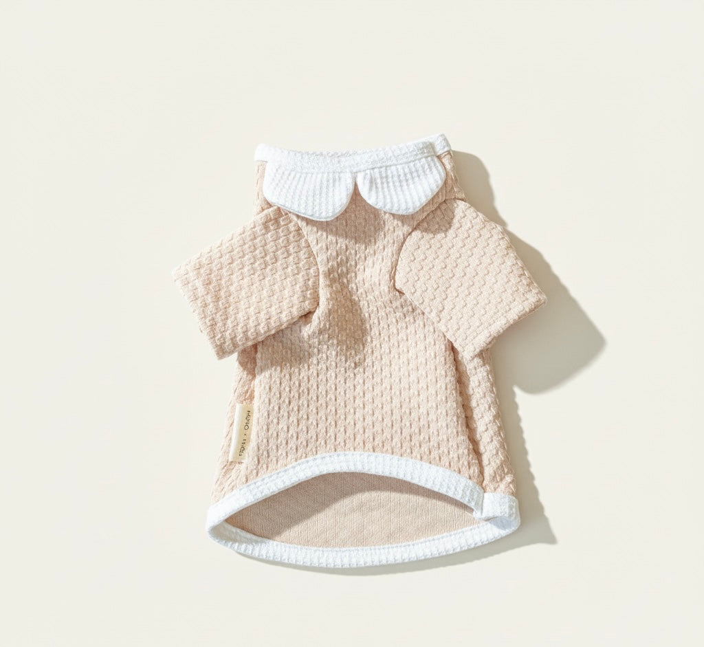 Stanford Special Edition