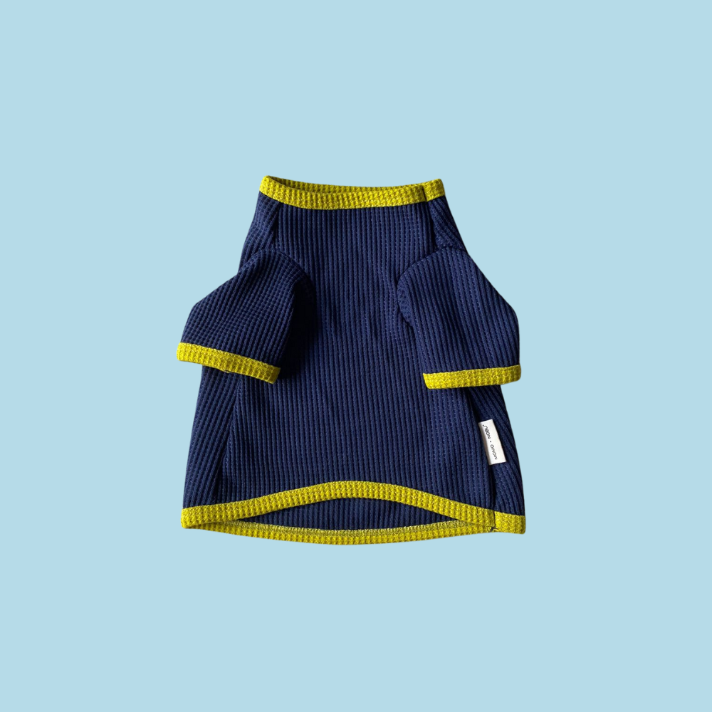 Navy blue dog sweater with yellow trim on a light blue background