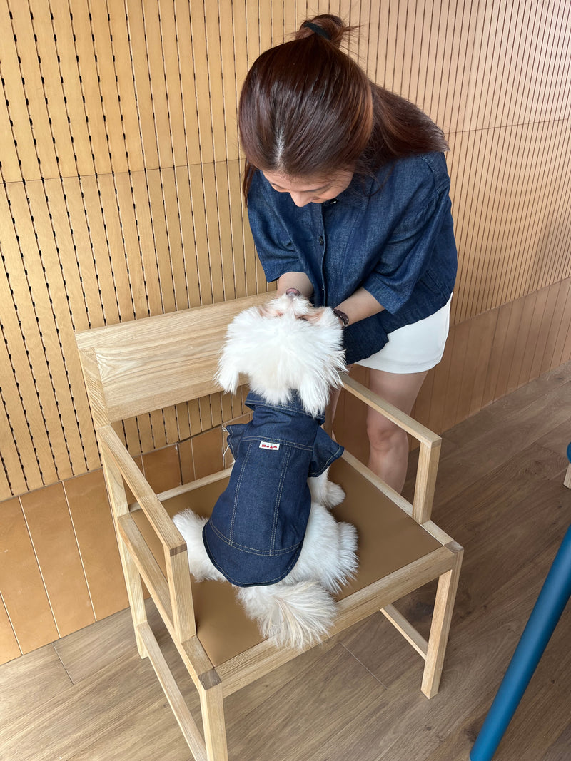 Person and dog in matching blue outfits standing on a wooden floor.