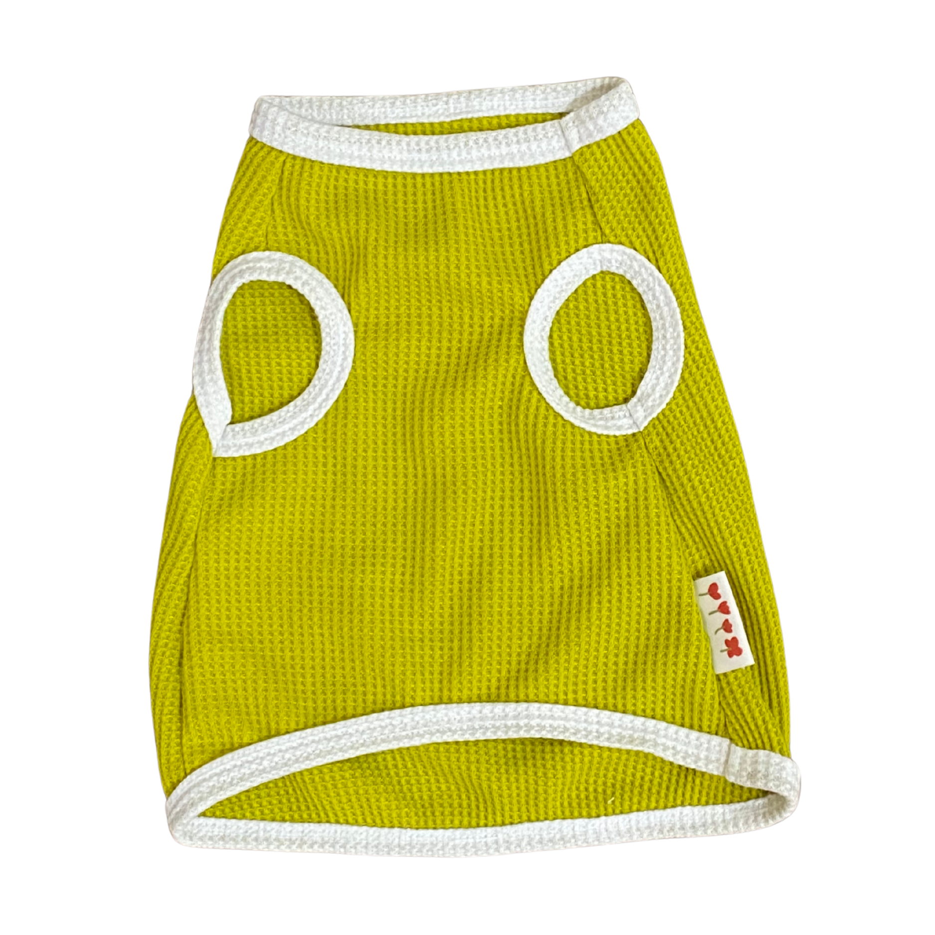 Green pet sweater with white trim on a white background