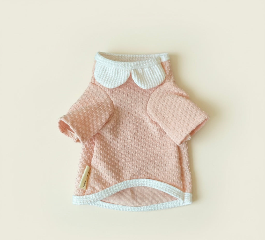 Stanford Special Edition