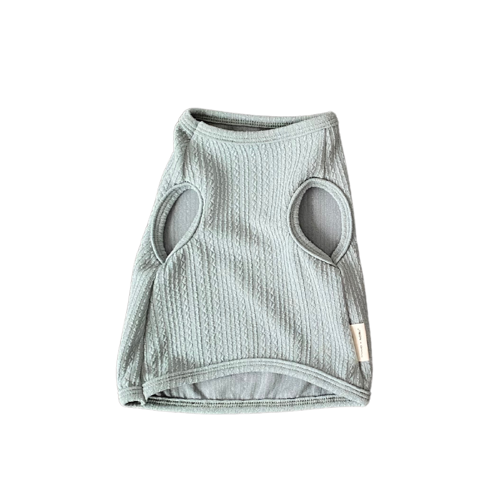 Gray pet vest on a white background