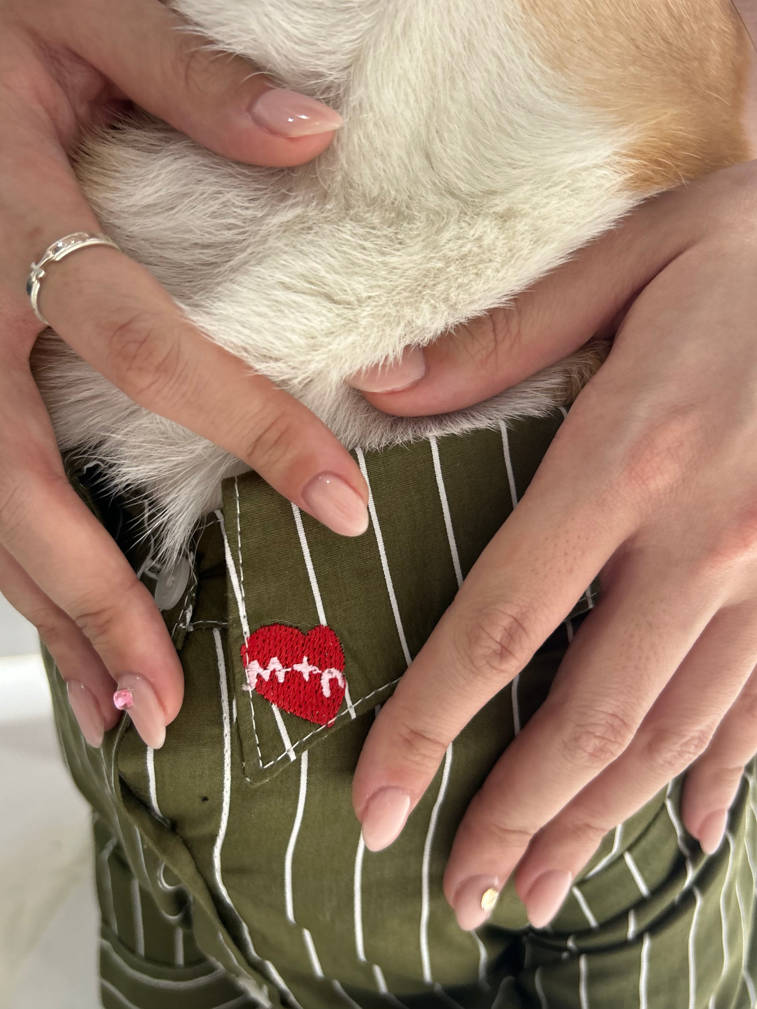 Person wearing a green jacket with a red heart patch, holding a dog.