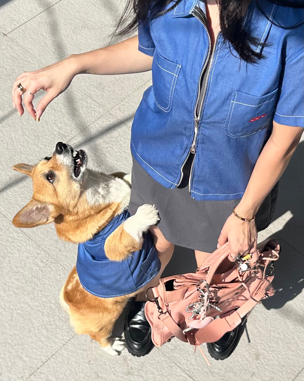 Person in blue jacket with a dog wearing a matching blue vest on a sidewalk.