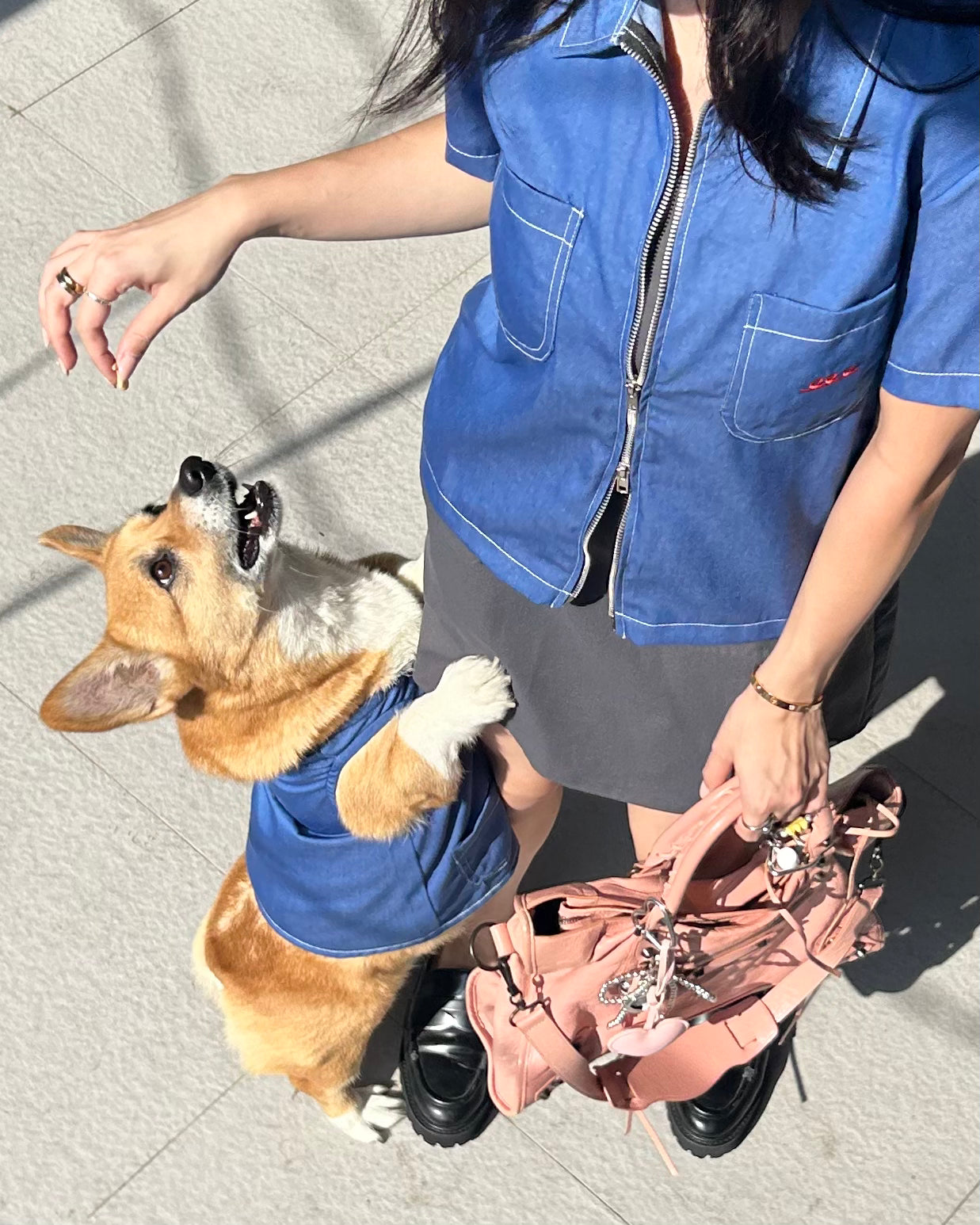Person in blue jacket with a dog wearing a matching blue vest on a sidewalk.
