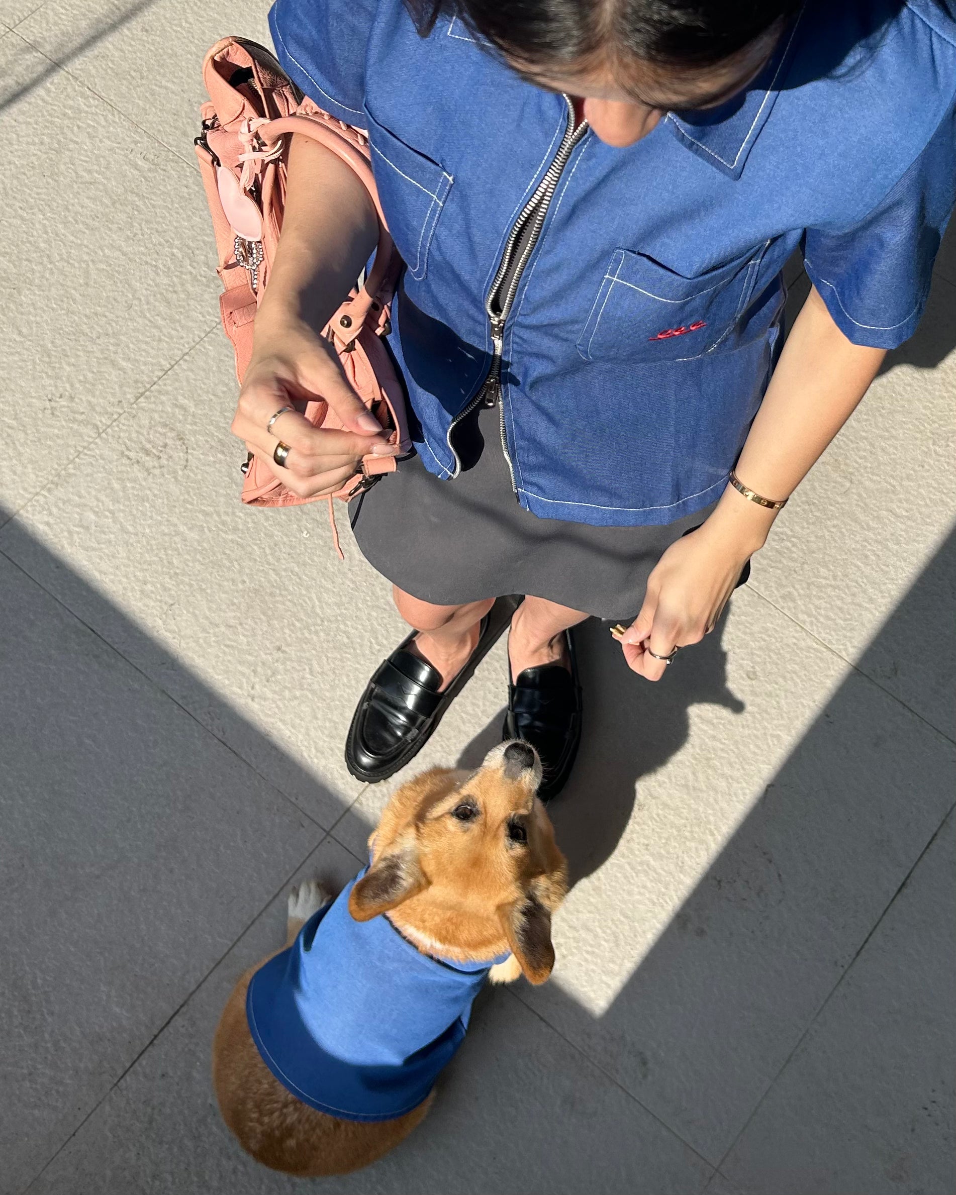 Person in blue shirt and shorts holding a small dog wearing a blue outfit on a sidewalk.