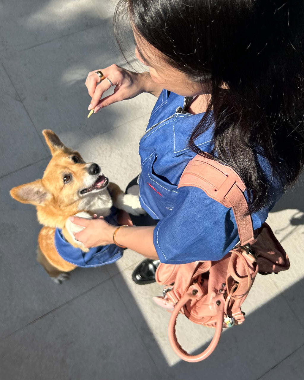 Person in blue outfit feeding a small dog on a sidewalk