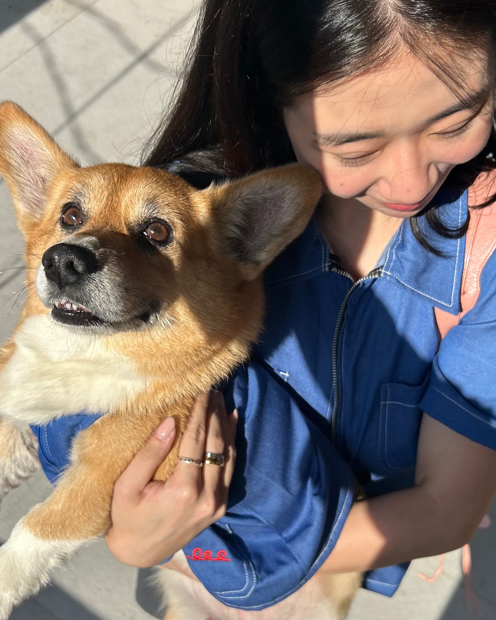 Woman in a blue shirt holding a dog outdoors on a sunny day