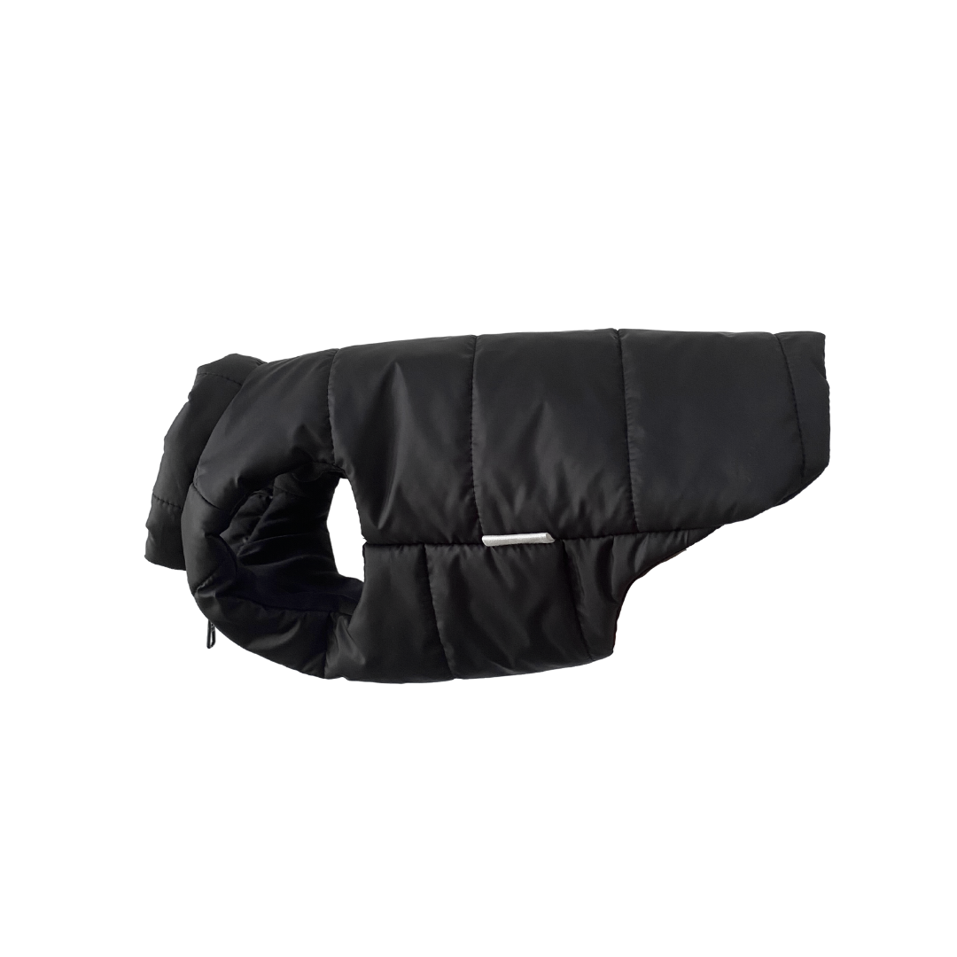 Black dog coat on a white background