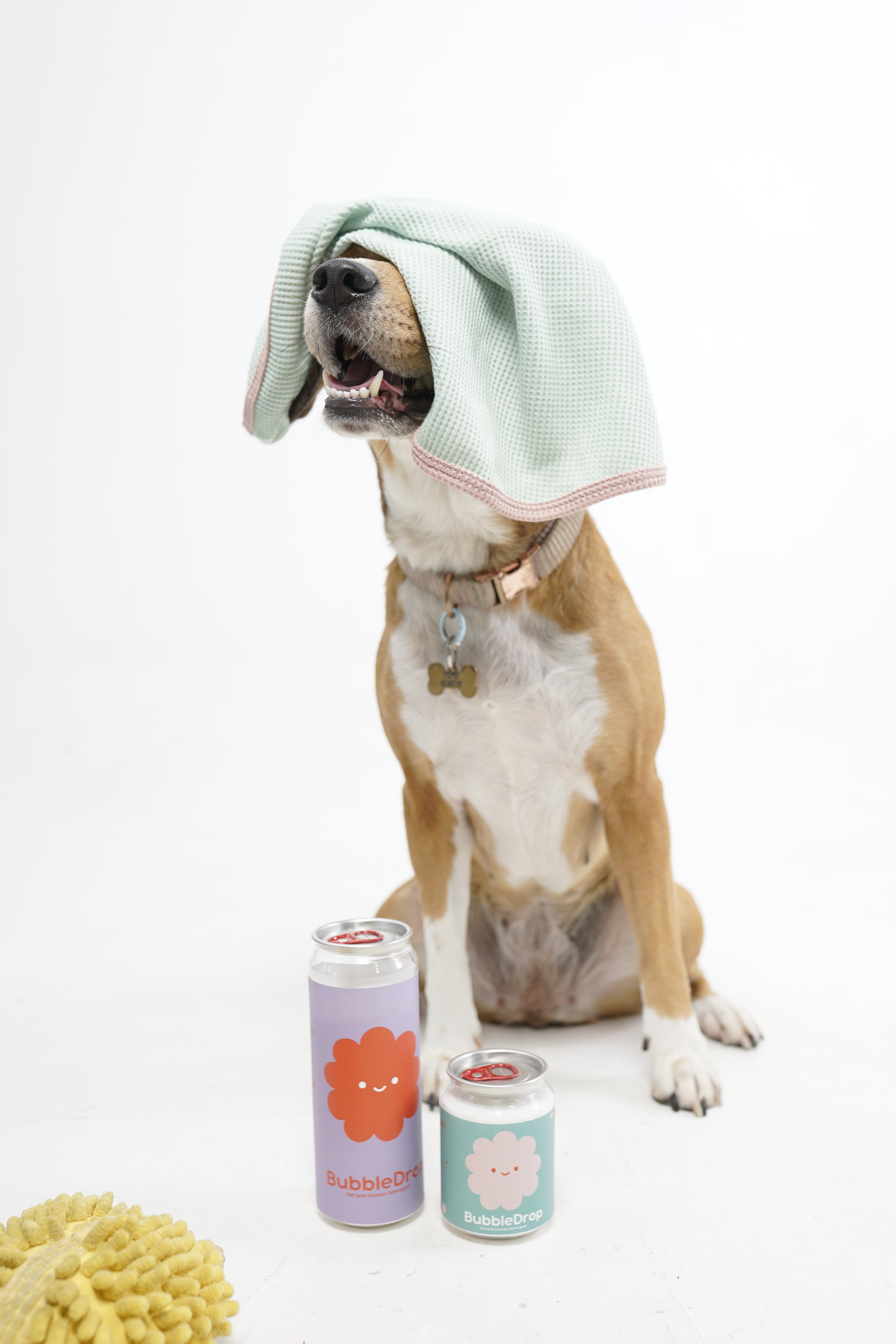 Dog wearing a green bandana with two small bottles on a white background