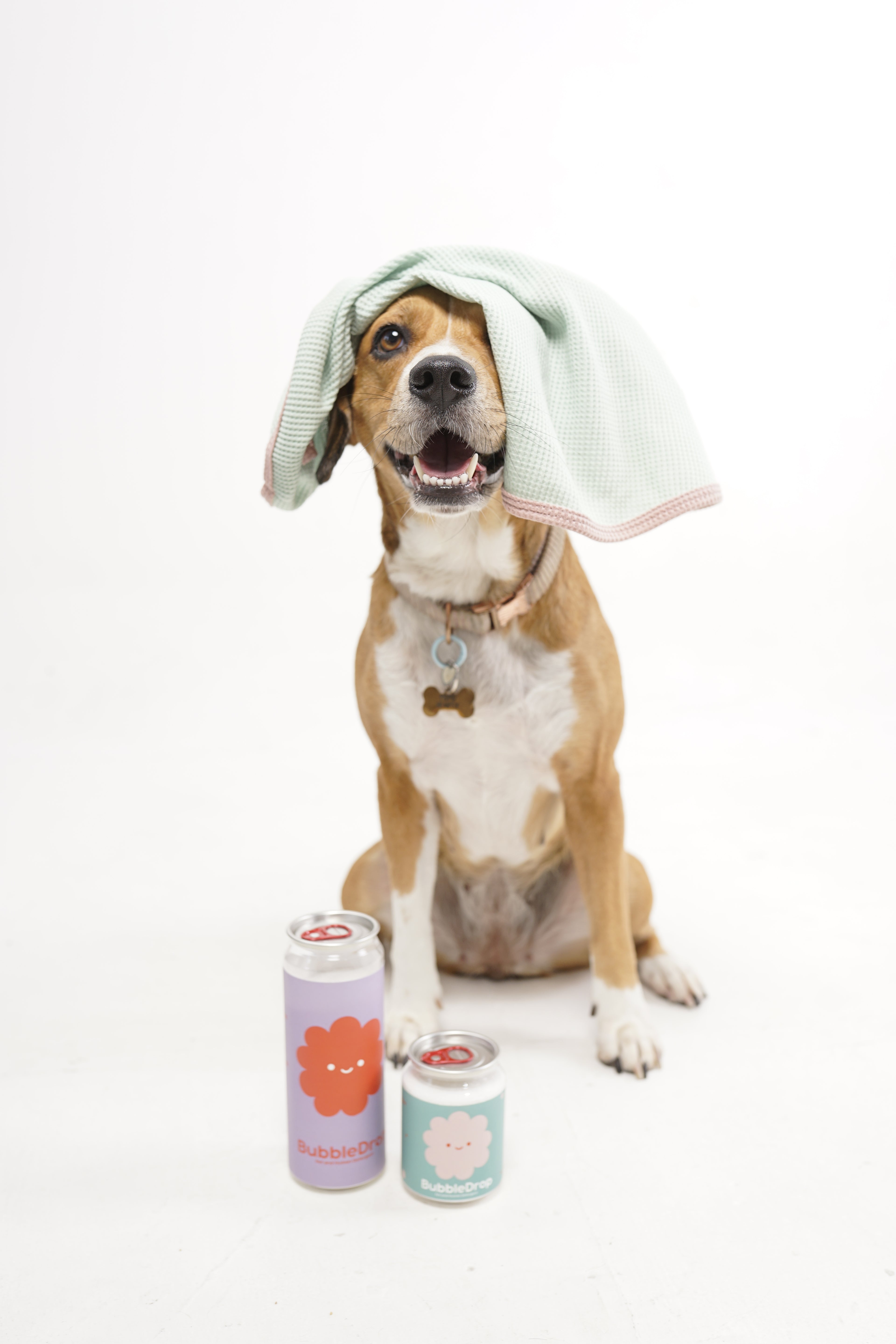 Dog lying on a white surface with a toy and a towel around it