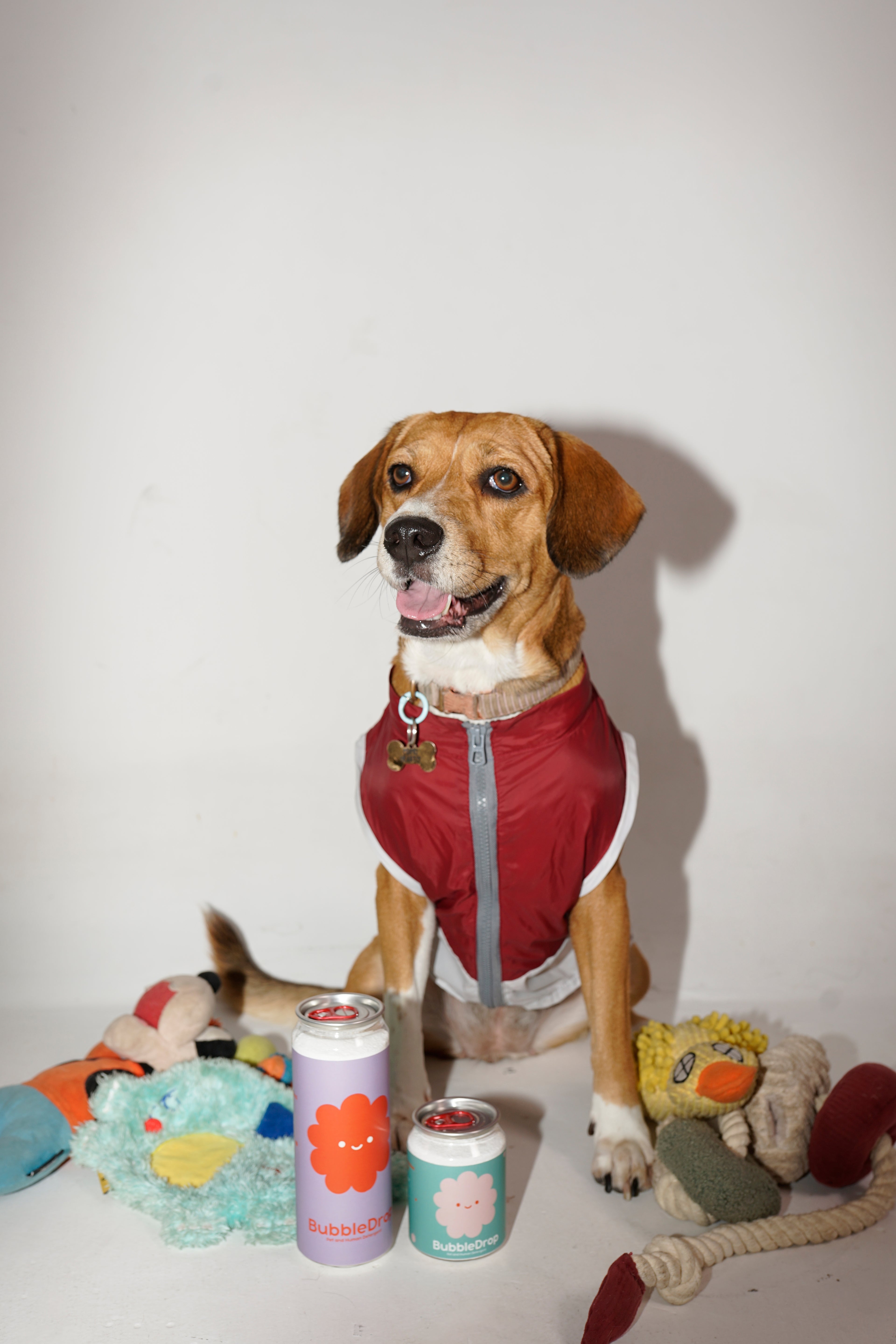 Dog wearing a red jacket with toys and cans on a white background