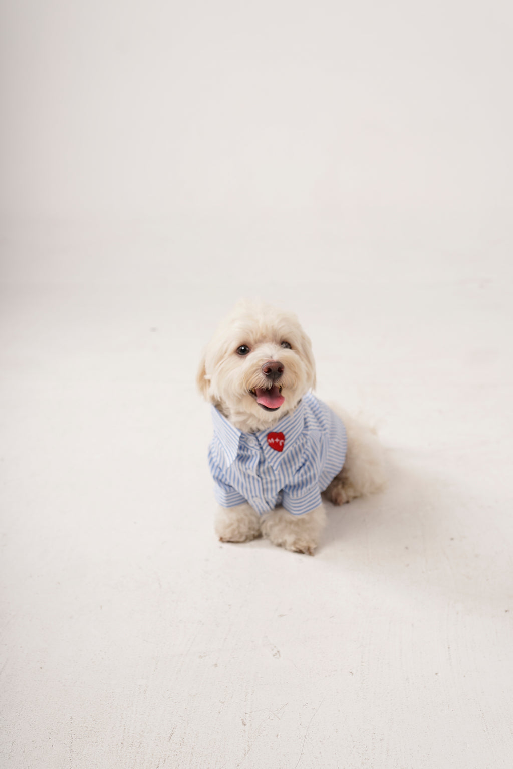 River Shirt (Pre-Order)